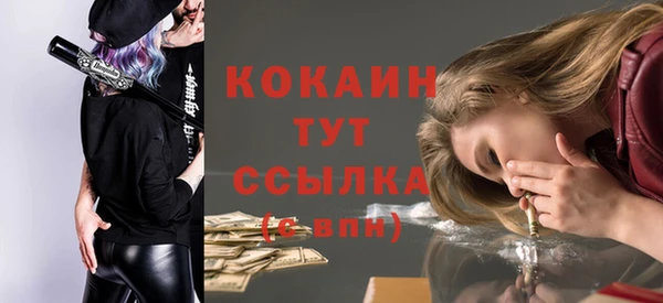 эйфоретик Арсеньев
