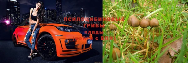 эйфоретик Арсеньев