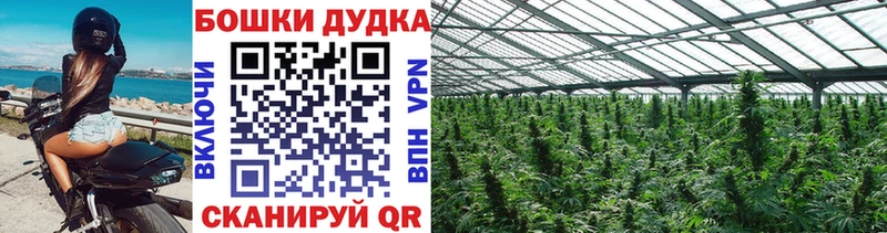 Каннабис индика Арзамас